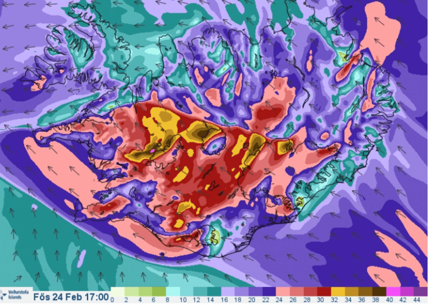 Violent Gale Warning