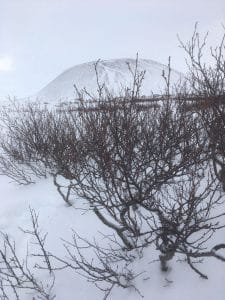 Schnee im Norden - Winterfahrt möglich / Di nuovo la neve 1 Schnee im Norden - Winterfahrt möglich / Di nuovo la neve