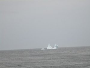 Avvistato un iceberg vicino a Westfjords 1 Avvistato un iceberg vicino a Westfjords