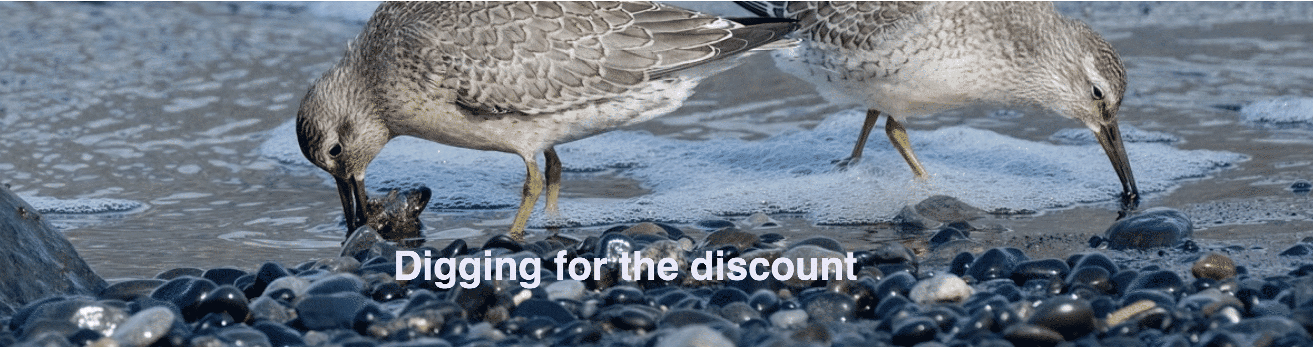 Digging for the discount!!