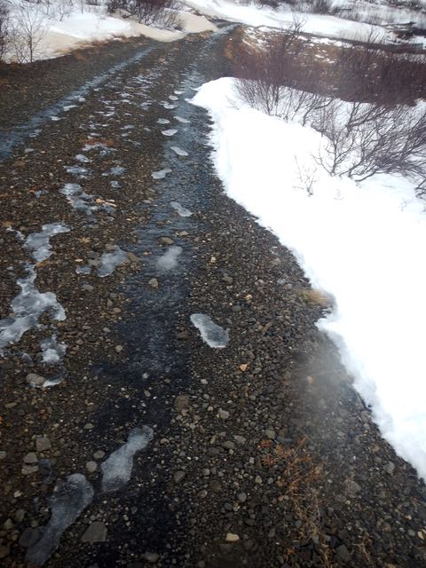 Now that we have winter and often snow and ice on the ground, it’s important to wear proper footwear