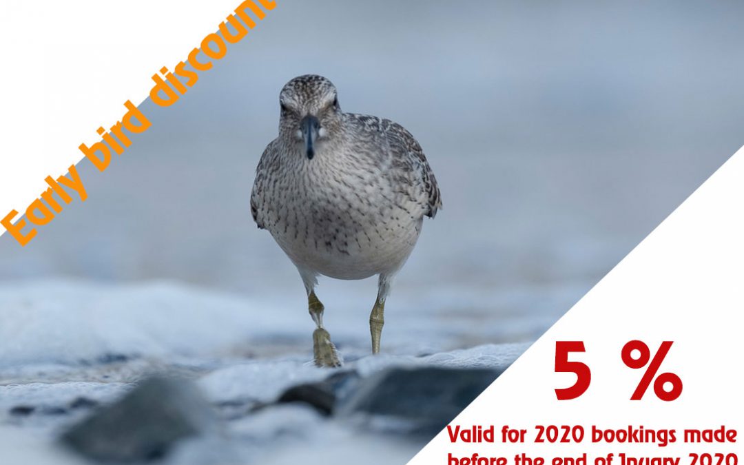 5% early bird discount valid in January 2020