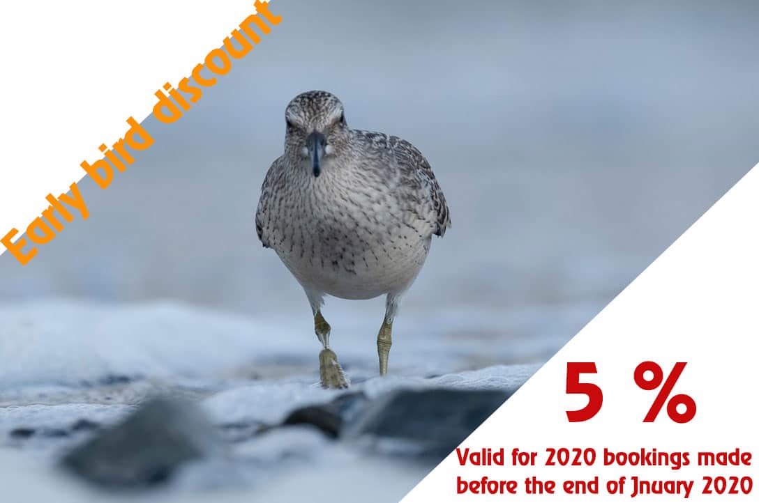 5% early bird discount valid in January 2020