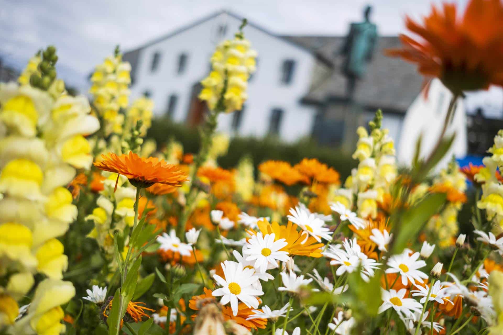 Wonderful News – Information for travellers arriving in Iceland from 15 June 2020