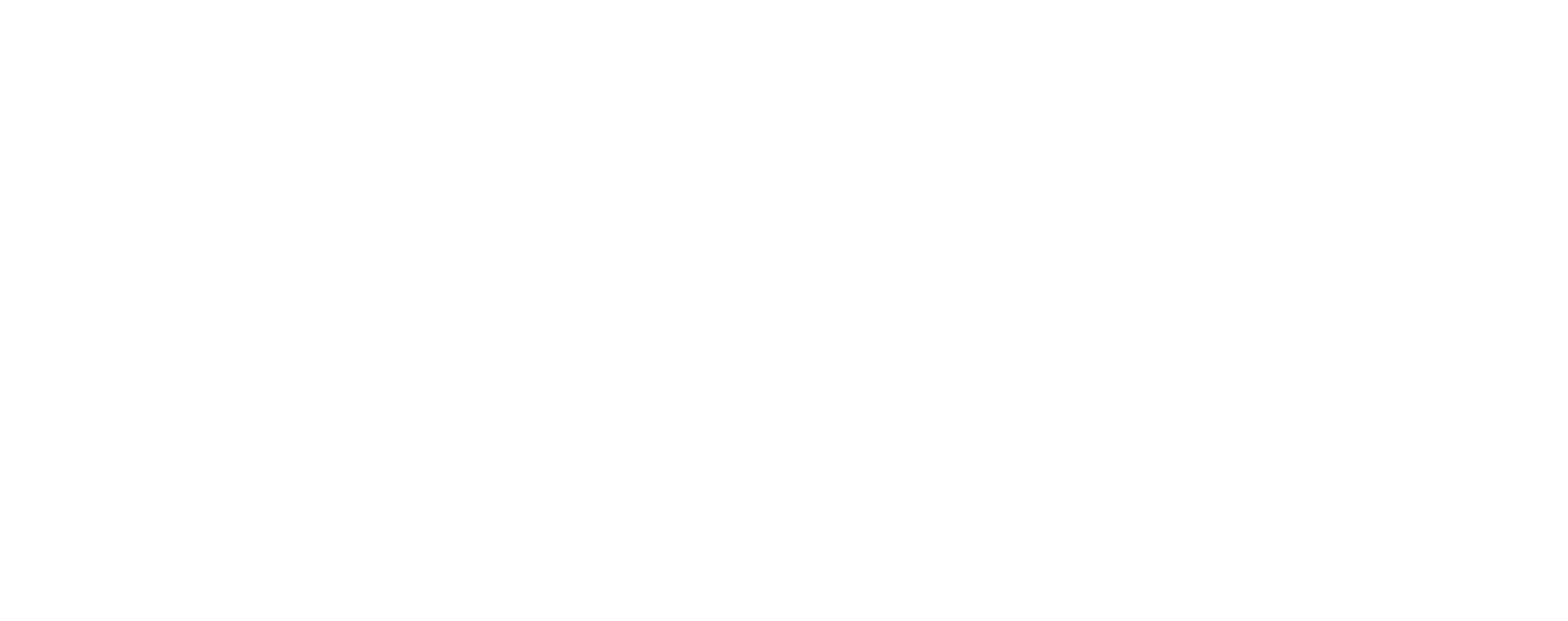 camper-iceland-alta-resolución-logo-blanco-sobre-fondo-transparente