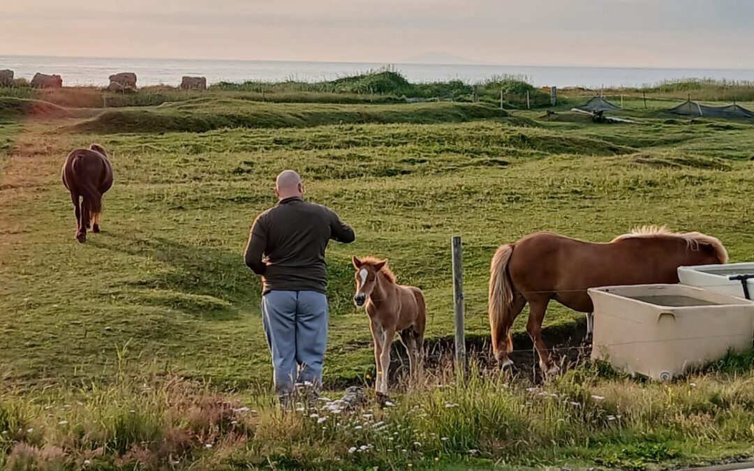 Scoprire l’Islanda - Libertà su quattro ruote