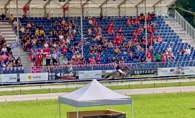 🏆 Campionati del Mondo di Cavallo Islandese - Ora in Svizzera! 2 🏆 Campionati del Mondo di Cavallo Islandese - Ora in Svizzera! 1