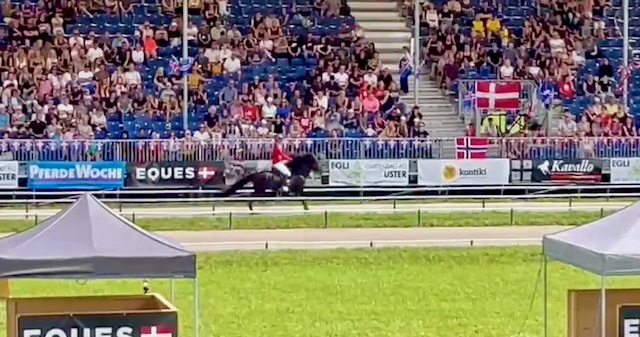 🏆 Campionati del Mondo di Cavallo Islandese - Ora in Svizzera! 1 🏆 Campionati del Mondo di Cavallo Islandese - Ora in Svizzera!