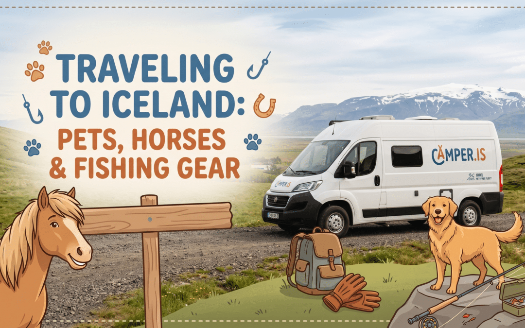Can I Bring My Pet to Iceland? 3 Strict Rules You Must Know